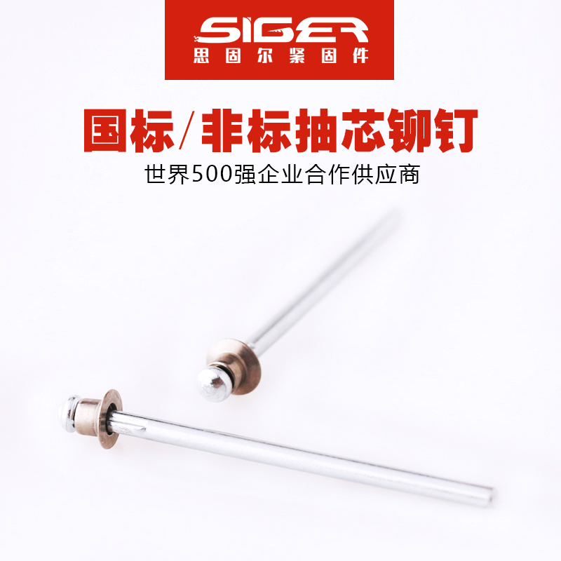 平頭掉頭不銹鋼抽芯鉚釘