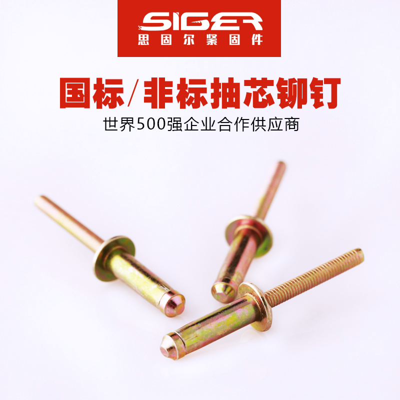 海馬樂(lè)克全鐵彩鋅抽芯鉚釘