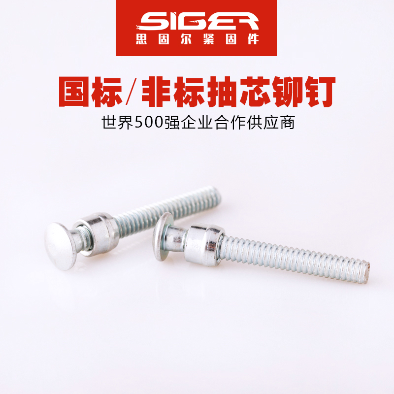 環(huán)槽全鐵抽芯鉚釘