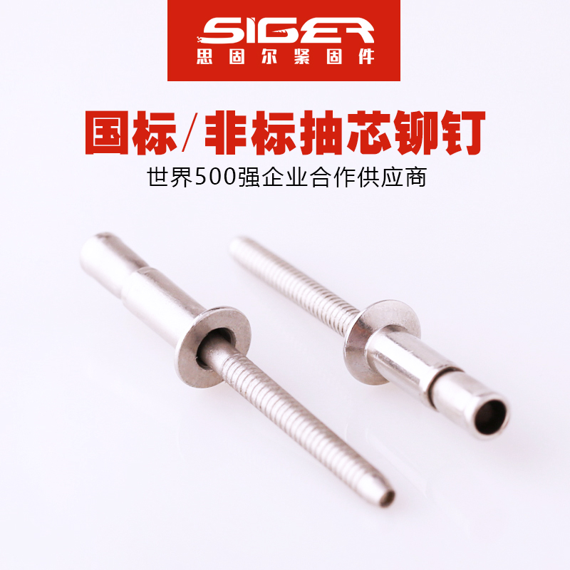 口杯拉絲沉頭全不銹鋼抽芯鉚釘